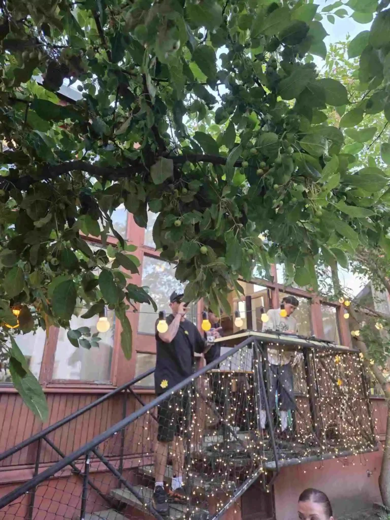 Liveuppträdande och DJ-set under äppelträdets skuggor på Årstabo